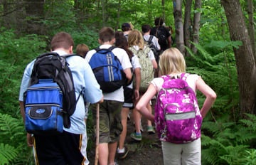 Recreation, Programming, Parks & Library illustration