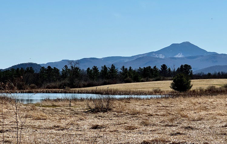 Land-based Conservation Resources illustration